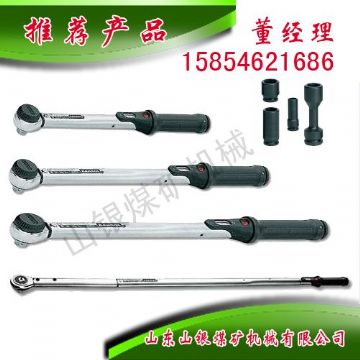 點(diǎn)擊查看詳細(xì)信息<br>標(biāo)題：顯示扭力扳手 閱讀次數(shù)：1287