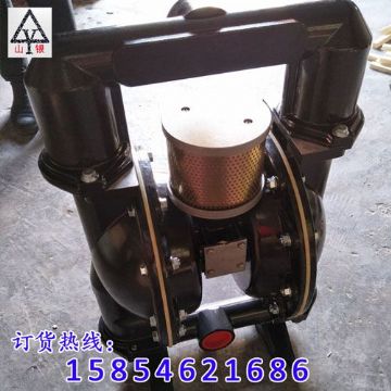 點(diǎn)擊查看詳細(xì)信息<br>標(biāo)題：氣動(dòng)隔膜泵 閱讀次數(shù)：1260