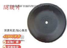 點擊查看詳細信息<br>標題：氣動隔膜泵配件-隔膜片 閱讀次數(shù)：199